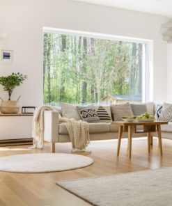 2401485_Somfy_Indoor_Camera